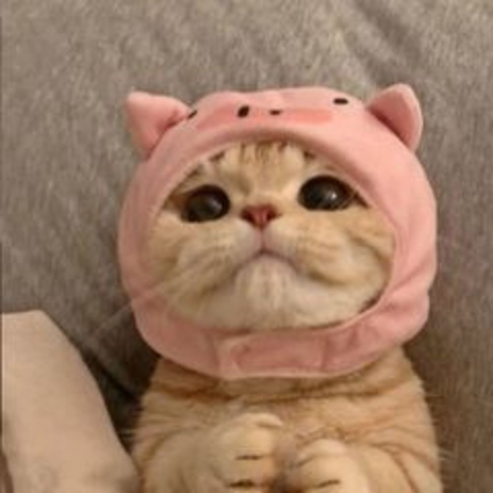 Meet your Posher, Plush